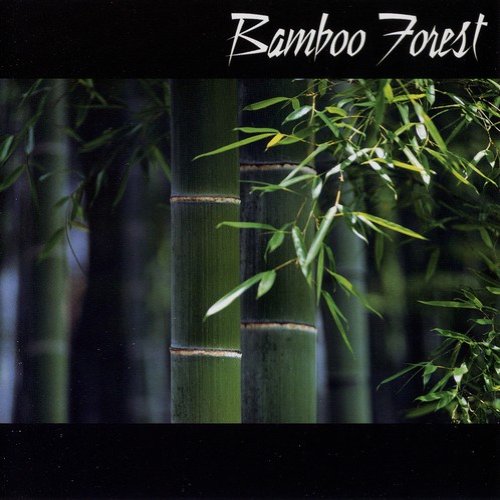 Bamboo Forest