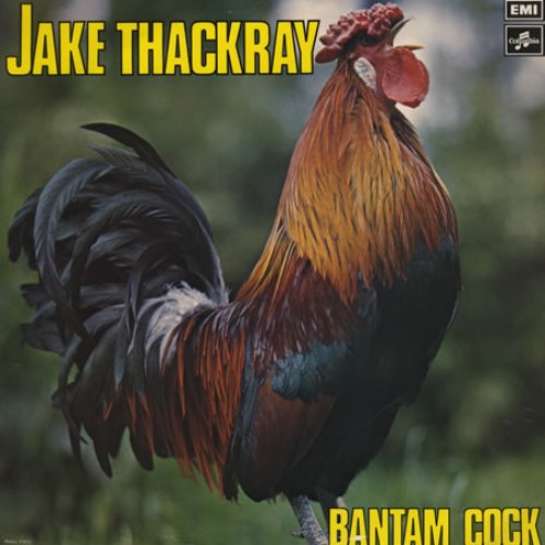 Bantam Cock