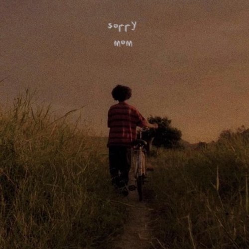 Sorry Mom - Single