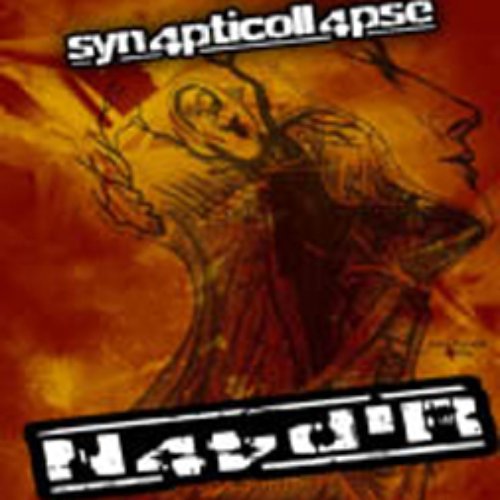 Synapticollapse