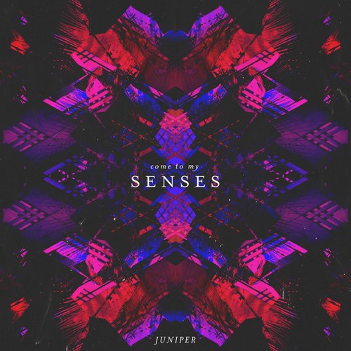(Come to My) Senses