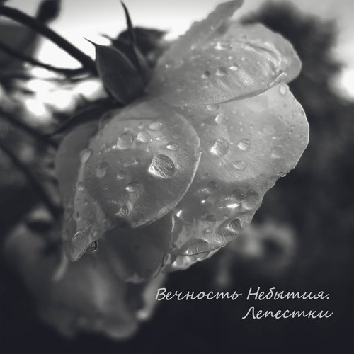 Лепестки - Single