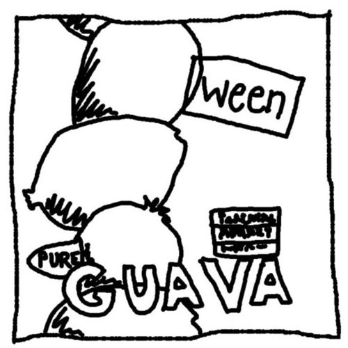 Pure Guava Demos