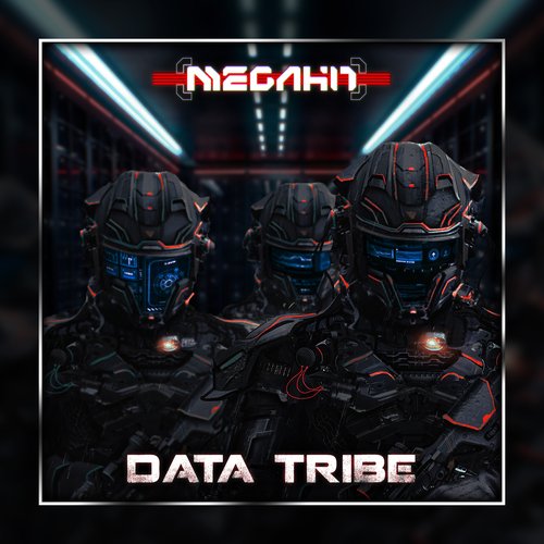 Data Tribe