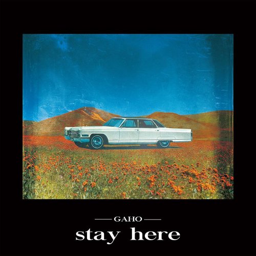 Stay Here