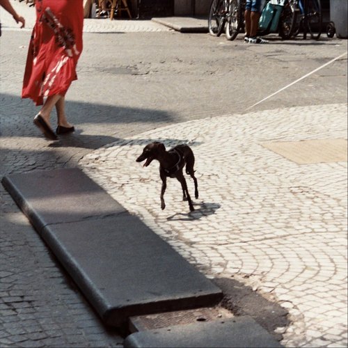 Sunset With You - Single