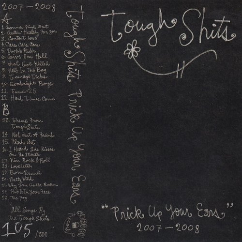 Prick Up Your Ears 2007-2008