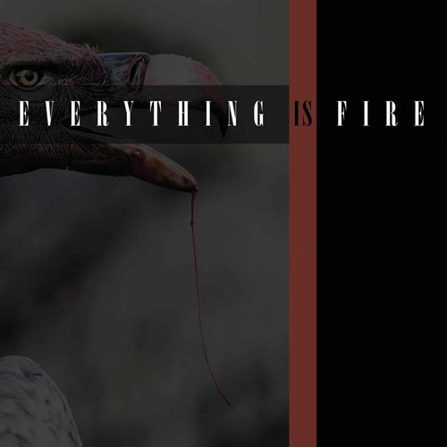 Everything is Fire