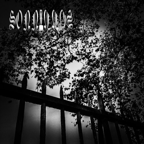 Solace in Solitude