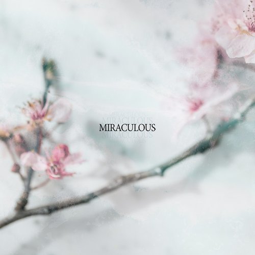 Miraculous