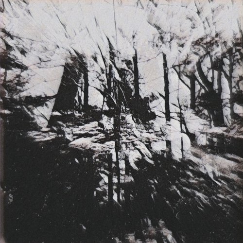Hail the Marrow