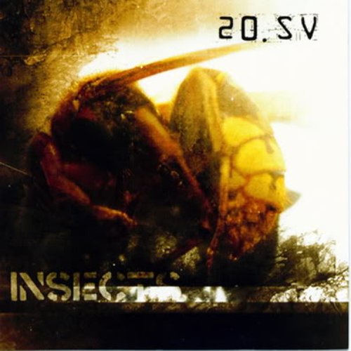 Insects