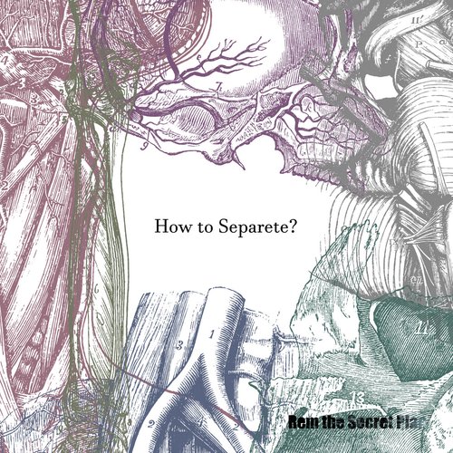 How to Separate？ [Remix Edition]
