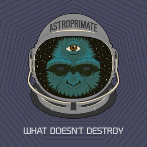 What Doesn't Destroy