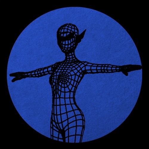 Computer Visions