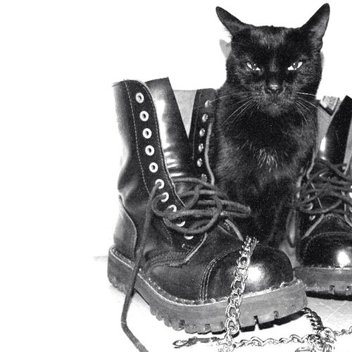 Copycat