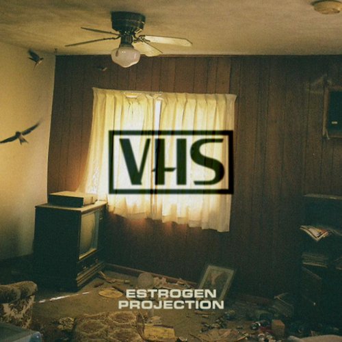 VHS (Single Version) [Explicit]