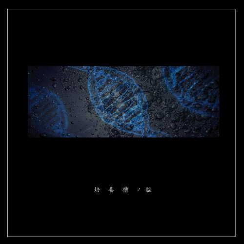 Simulation hypothesis