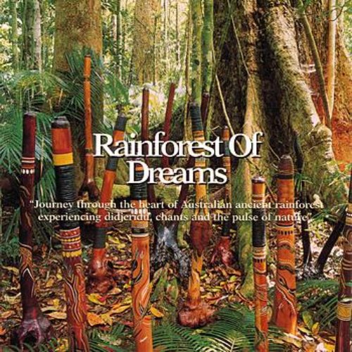 Rainforest of Dreams