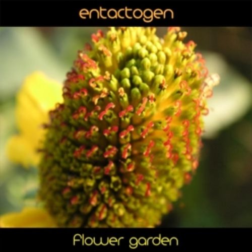 Mixotic 038 - Entactogen - Flower Garden