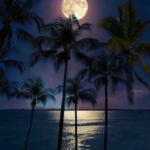 Moon - Single
