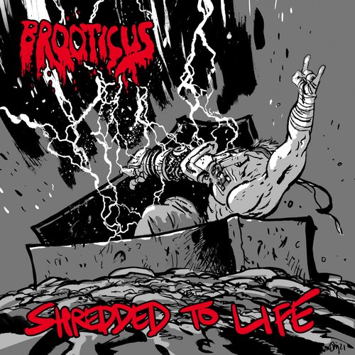 SHREDDED TO LIFE