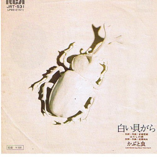 白い貝がら