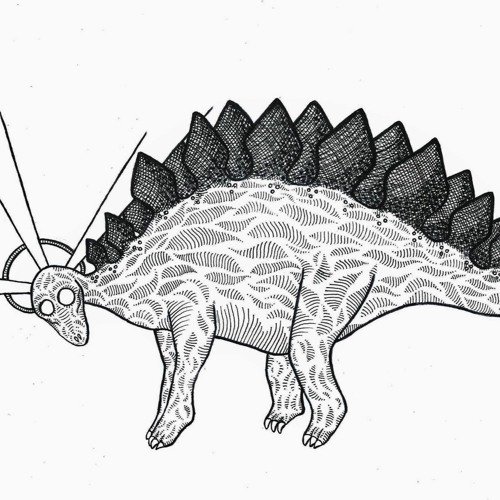 Stegosaurus