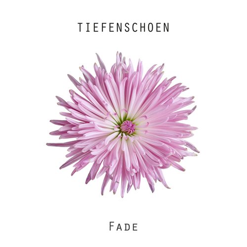 Fade