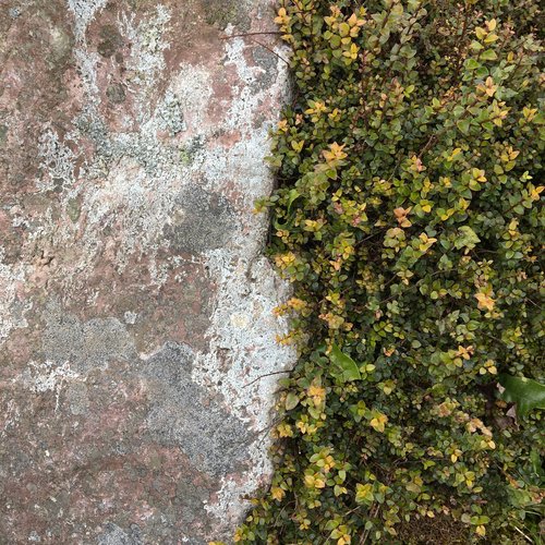 First Move - EP