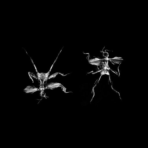 White Noise for Kids