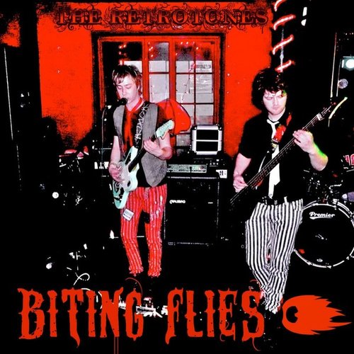 Biting Flies