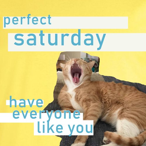Have Everyone Like You