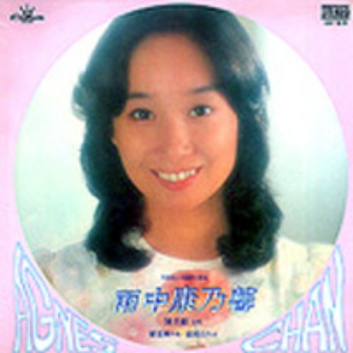 雨中康乃馨