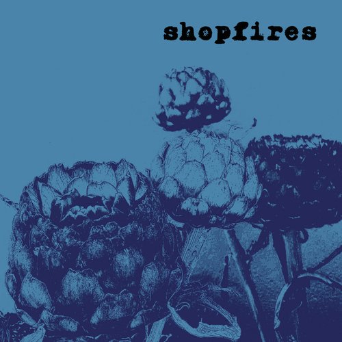 Shopfires