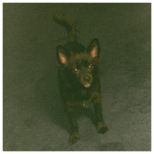 This Is About Summer - Single