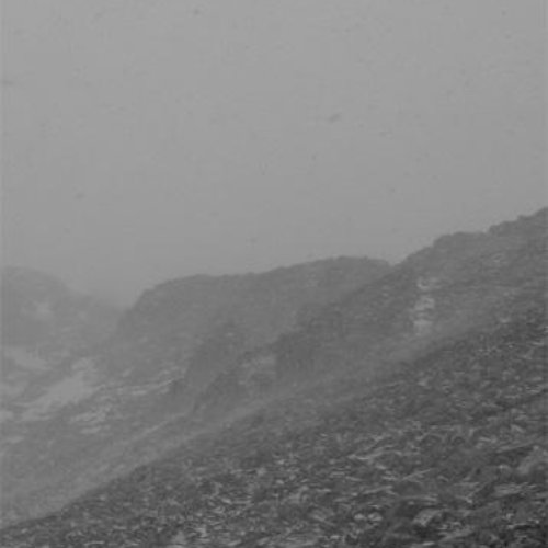 Talus