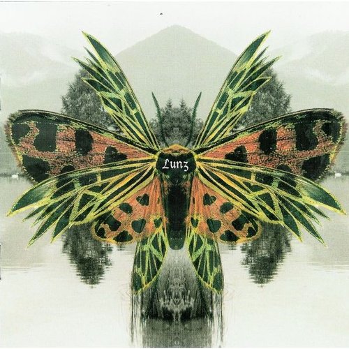 Lunz Reinterpretations