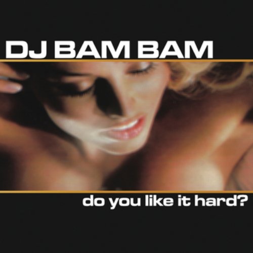 Do You Like It Hard? (Continuous DJ Mix By DJ Bam Bam)