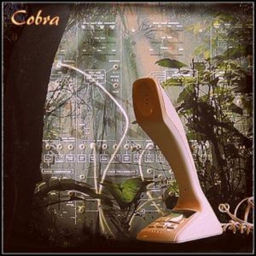 Cobra
