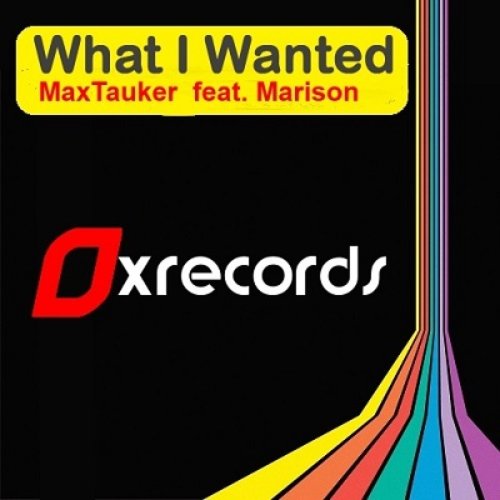 What I Wanted (feat. Marison) - Single