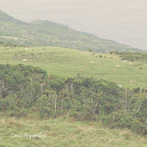 Canto Arquipélago