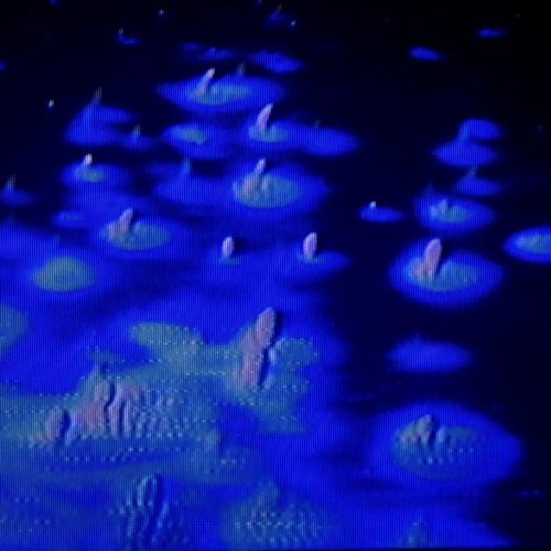 Imaginary Numbers - Single