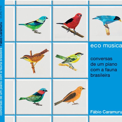 Ecomúsica: Conversas de um Piano com a Fauna Brasileira