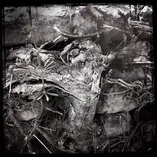 Streams Of Consciousness 172209