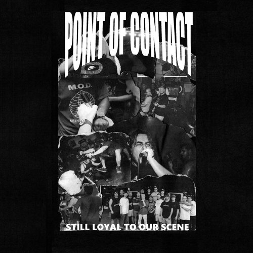 Still Loyal To Our Scene