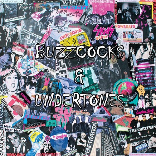 Buzzcocks & Undertones