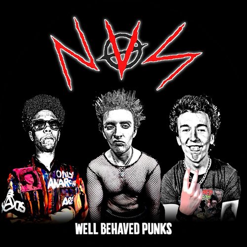 Well Behaved Punks