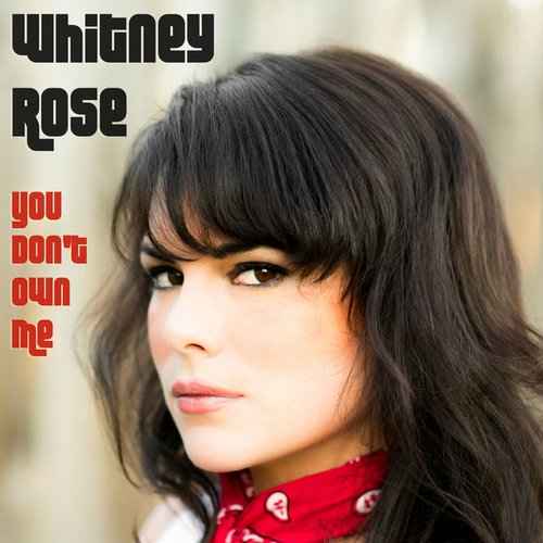 You Don't Own Me - Single
