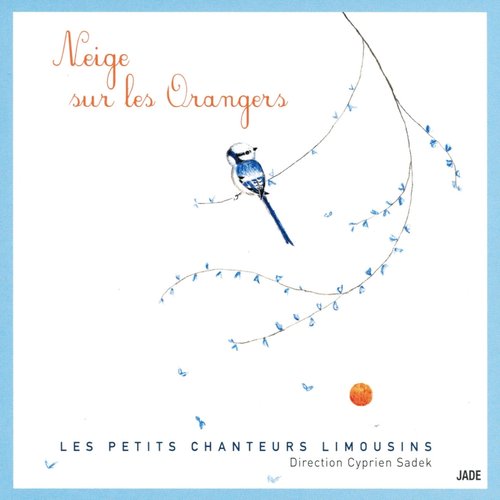 Neige sur les orangers